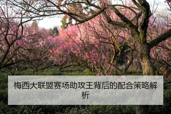 梅西大联盟赛场助攻王背后的配合策略解析