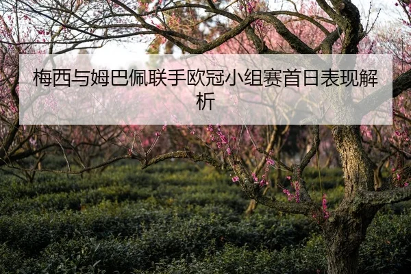 梅西与姆巴佩联手欧冠小组赛首日表现解析